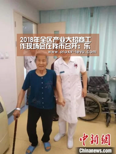2018年全区产业大招商工作现场会在我市召开:乐鱼体育(图2) 乐鱼
