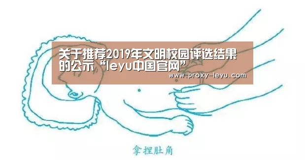 乐鱼体育