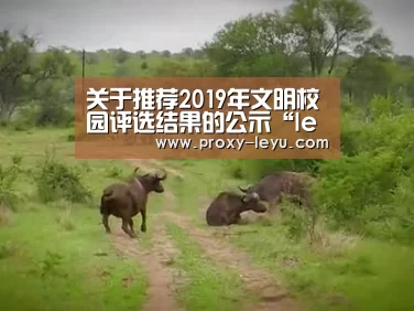leyu中国官网