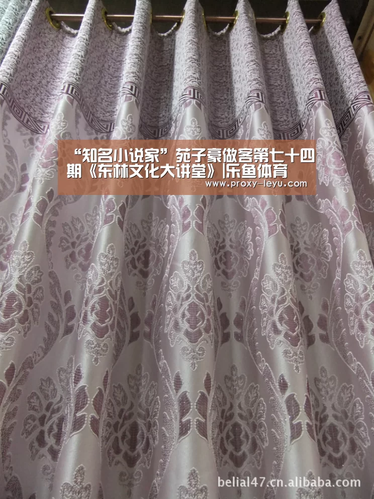 “知名小说家”苑子豪做客第七十四期《东林文化大讲堂》|乐鱼体育(图4)