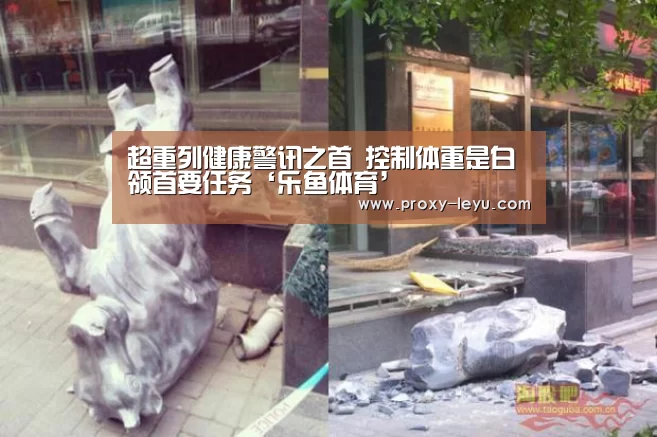 leyu中国官网