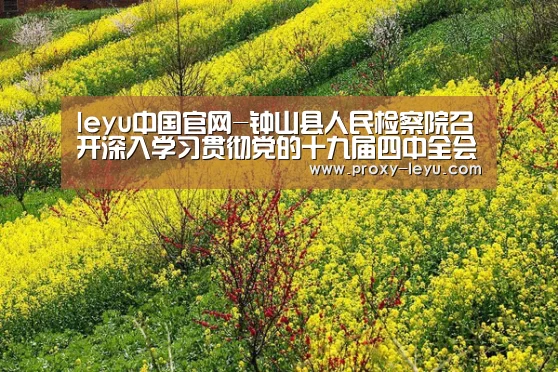 leyu中国官网-钟山县人民检察院召开深入学习贯彻党的十九届四中全会精神专题研讨会(图3)