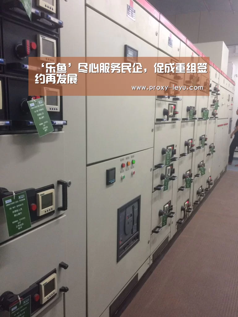 ‘乐鱼’尽心服务民企,促成重组签约再发展(图4) ‘乐鱼’尽心服务民企,促成重组签约再发展(图4)