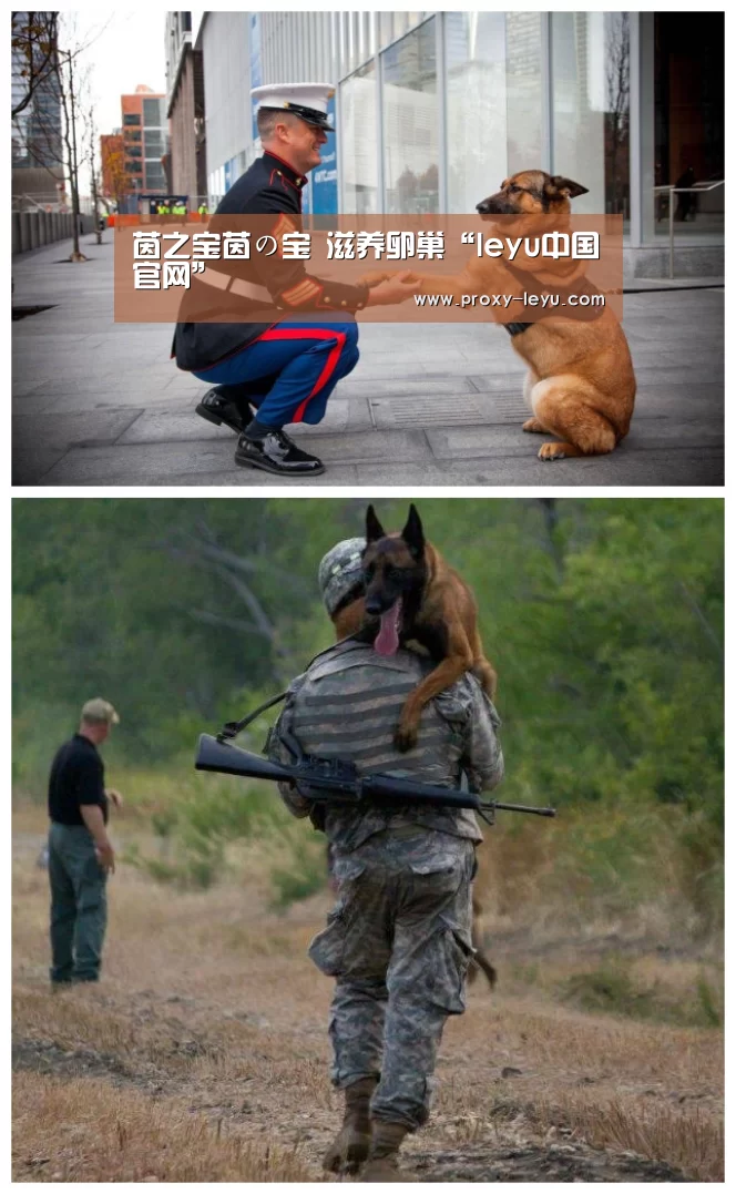 leyu中国官网