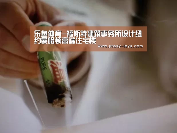 乐鱼体育-福斯特建筑事务所设计纽约曼哈顿高端住宅楼(图1) leyu中国官网