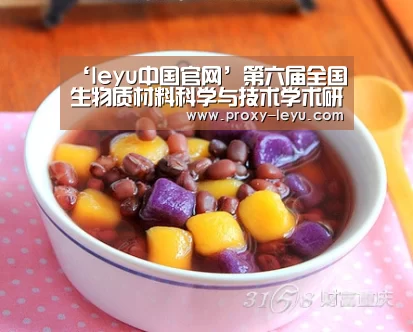 ‘leyu中国官网’第六届全国生物质材料科学与技术学术研讨会在南林召开(图2) 乐鱼