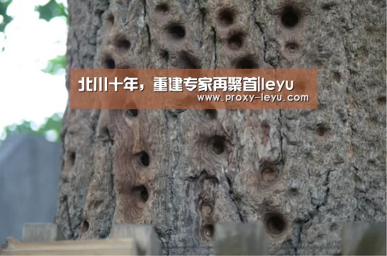 北川十年,重建专家再聚首|leyu(图1) 乐鱼体育